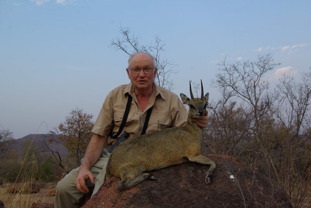 Klipspringer