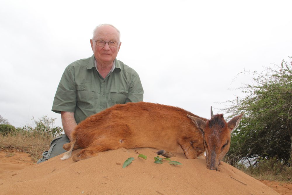 Duiker