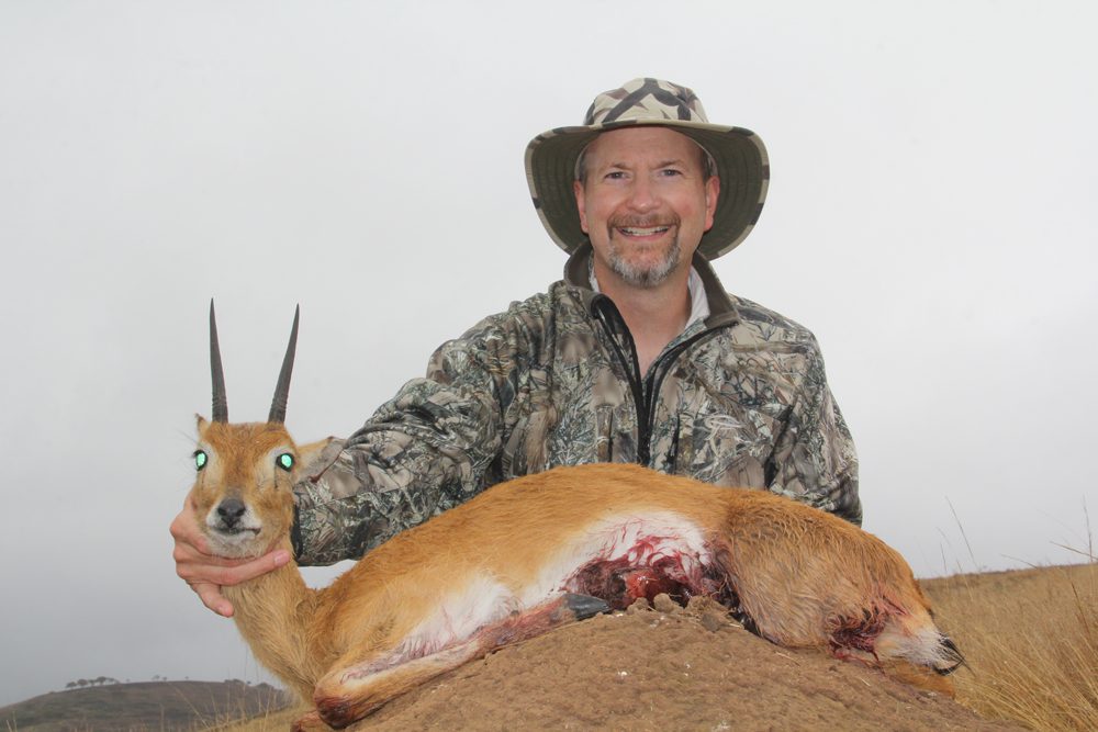 Oribi