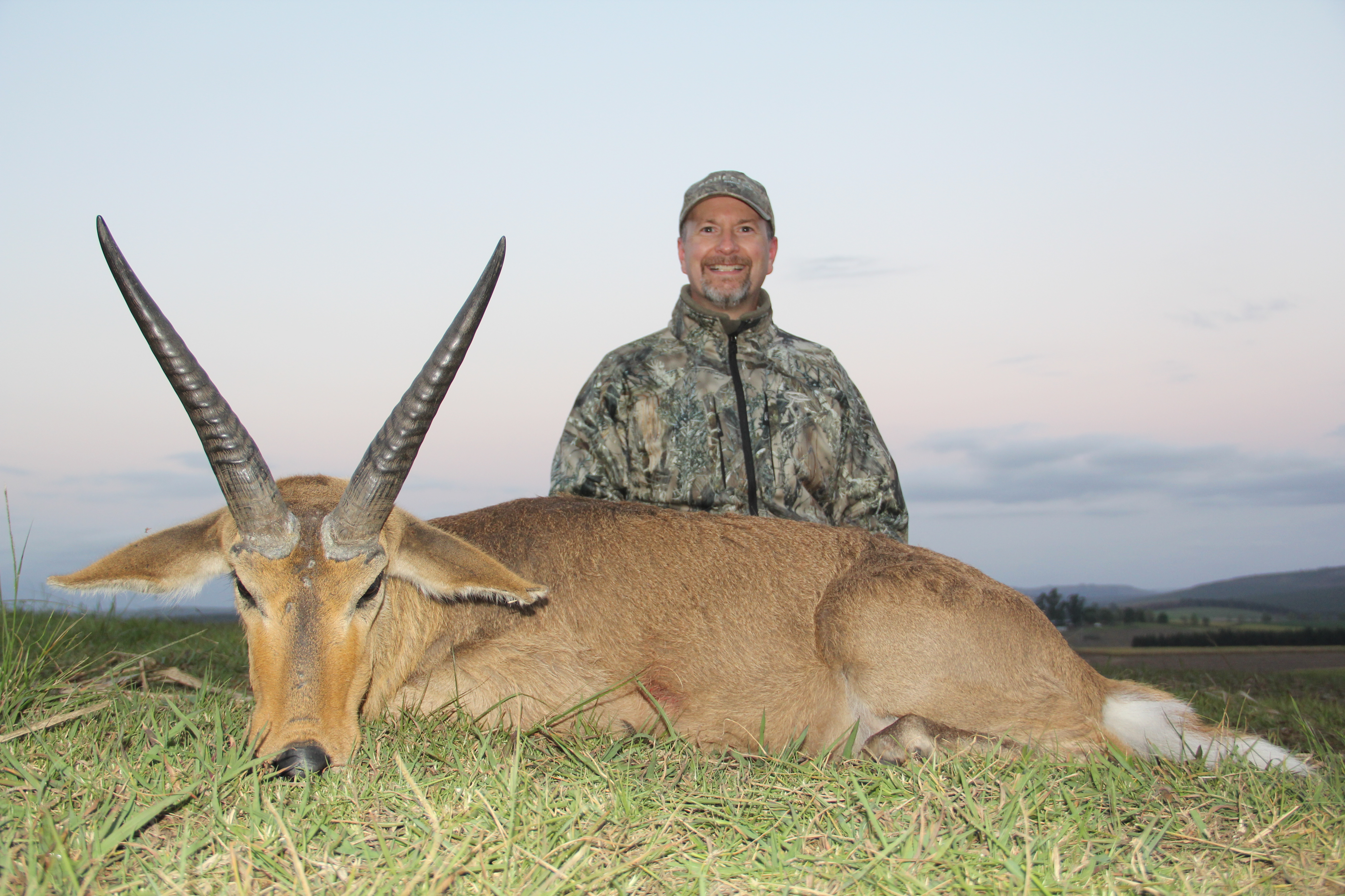 Reedbuck