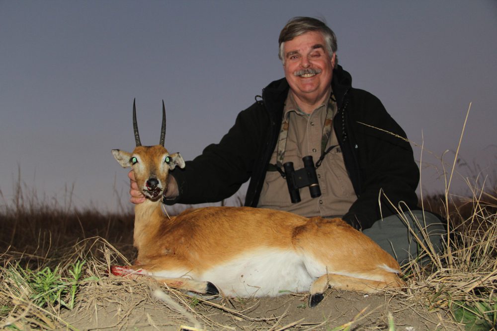 Oribi