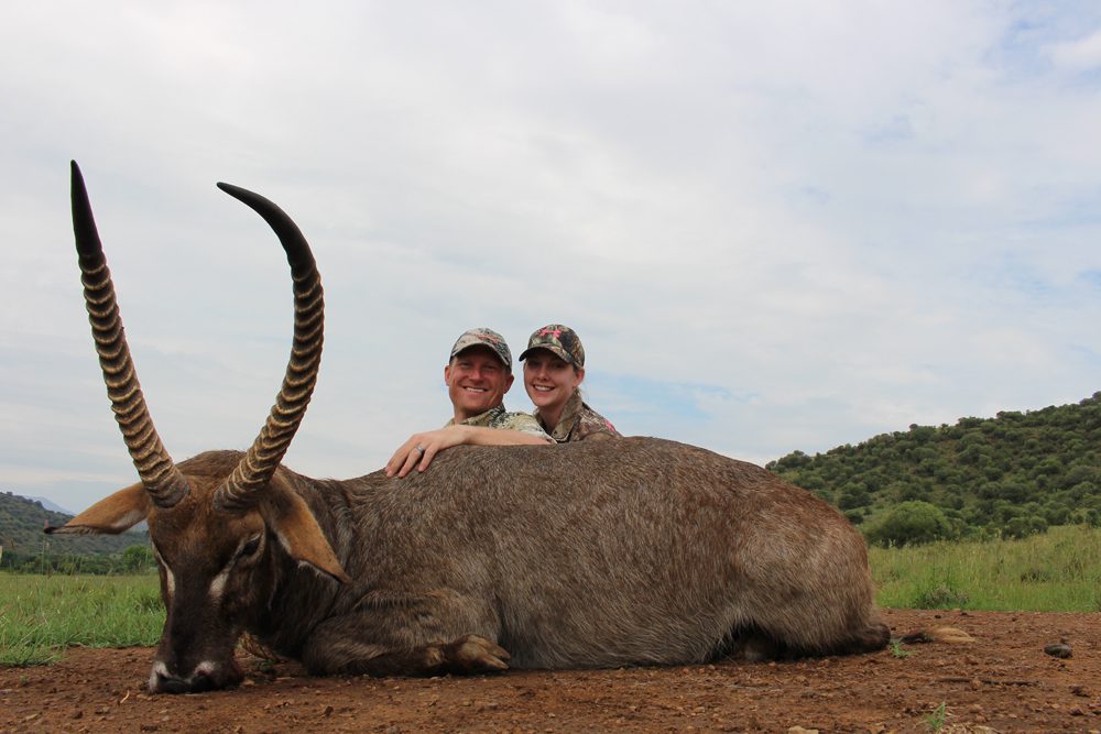 Waterbuck