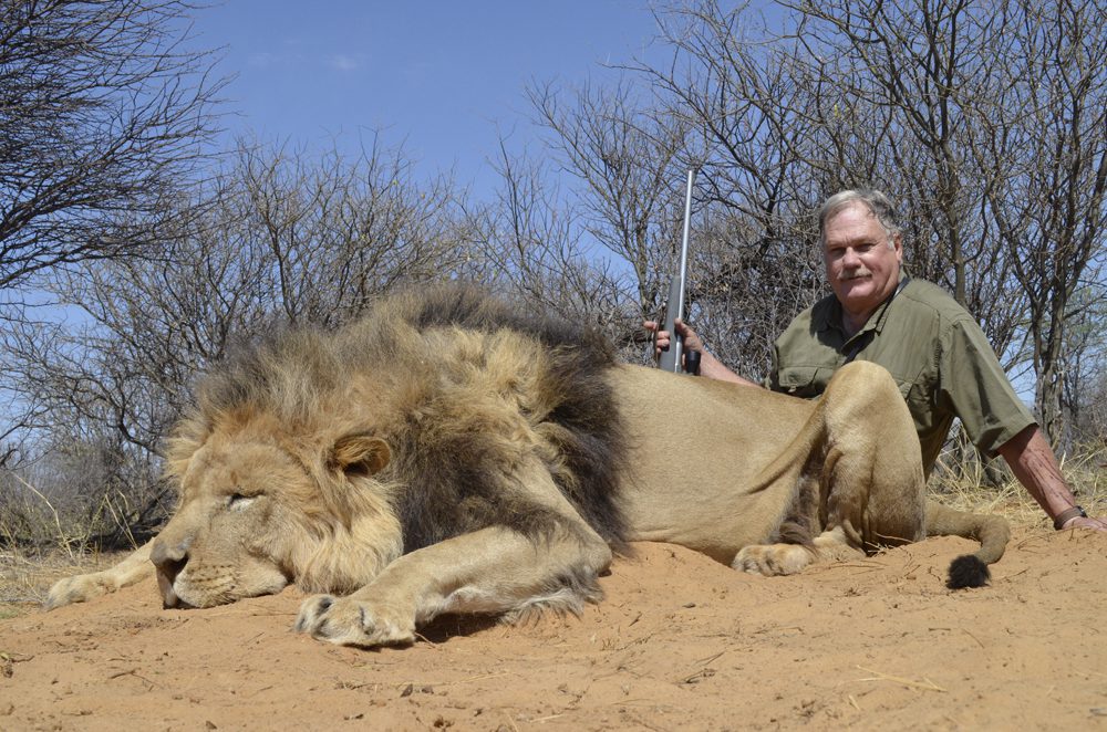 Lion