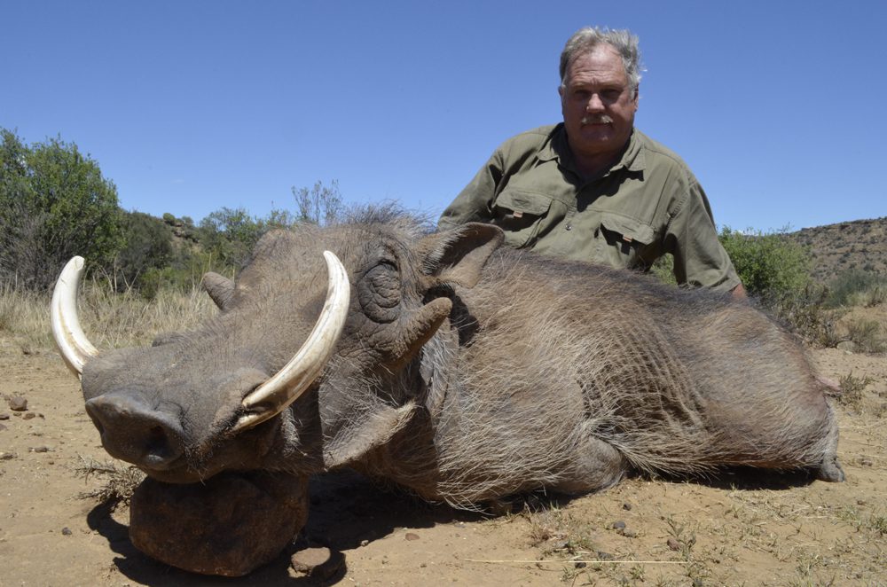 Warthog