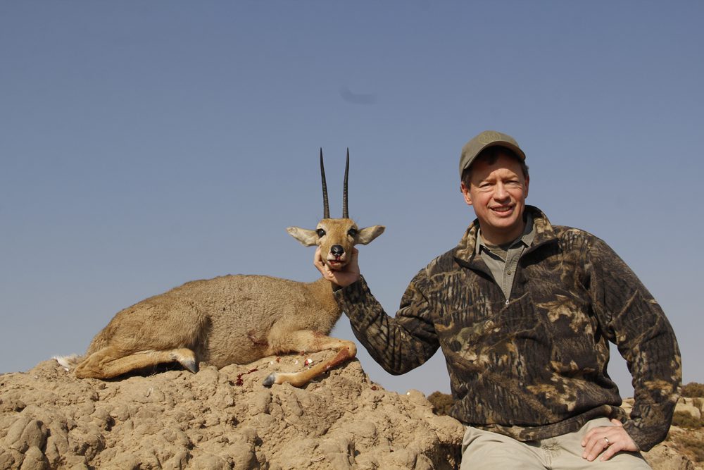 Grey Rheebuck