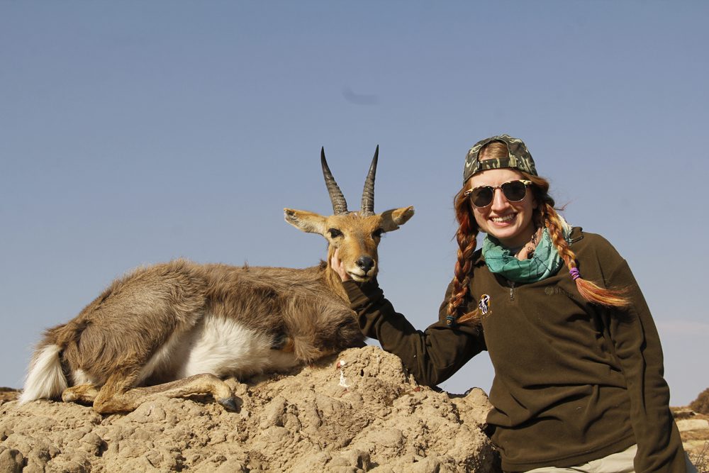 Mountain Reedbuck