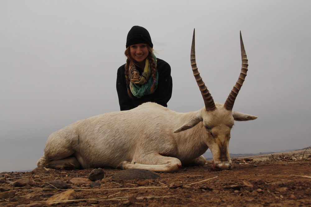 White Blesbuck