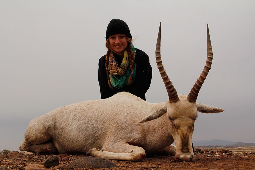 White Blesbuck