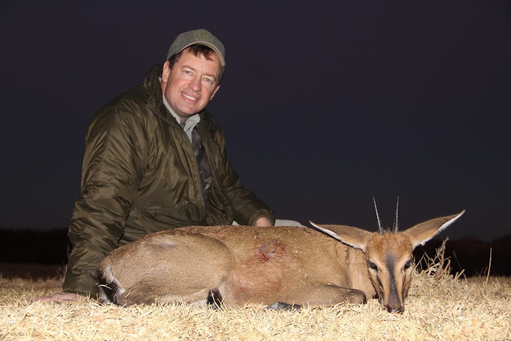 Duiker