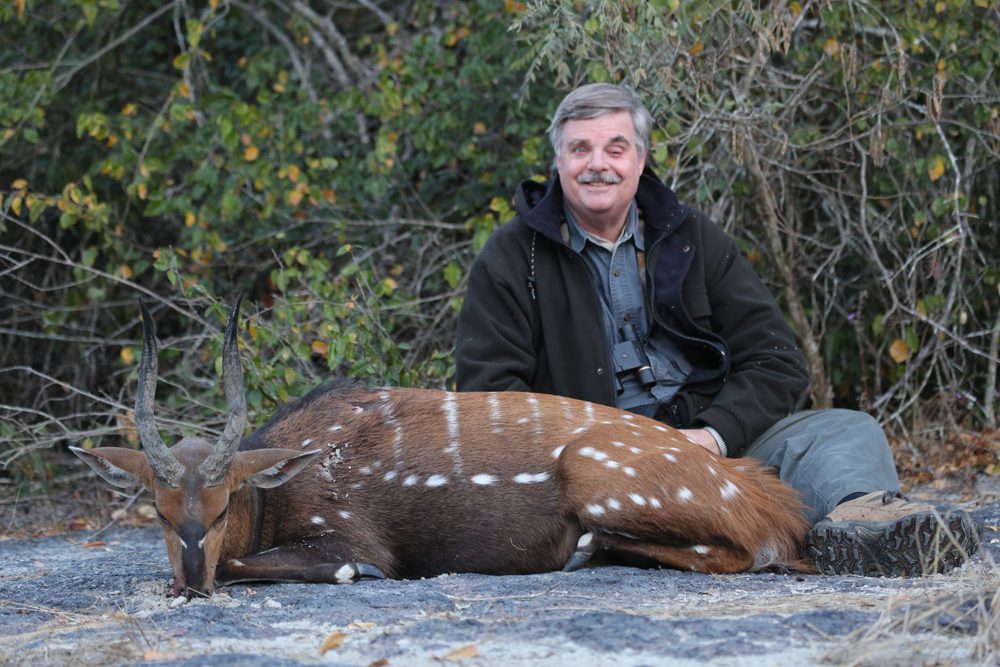 Bushbuck