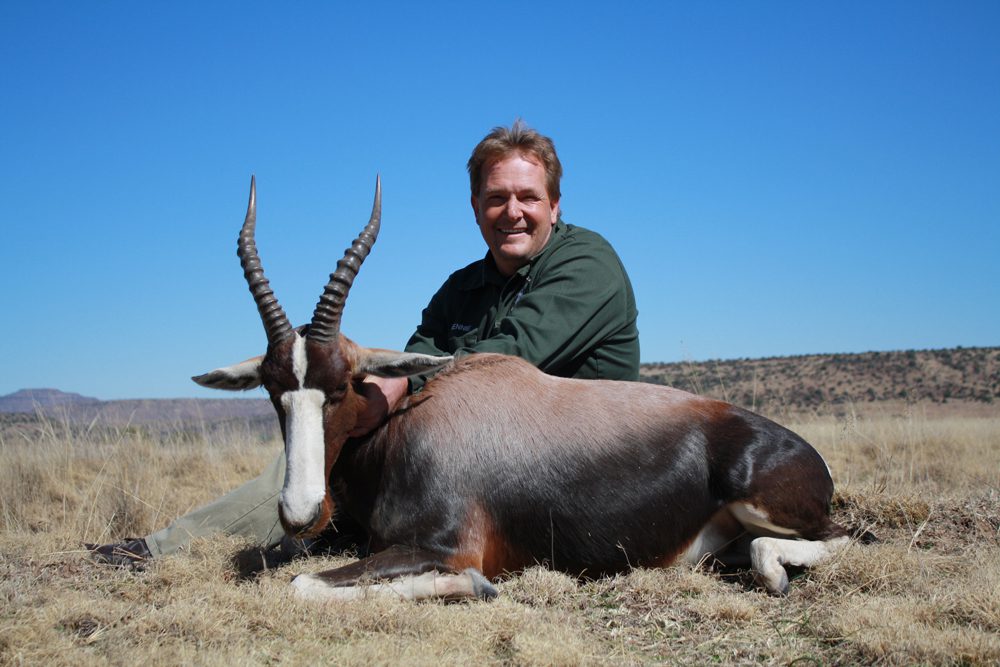 Bontebok