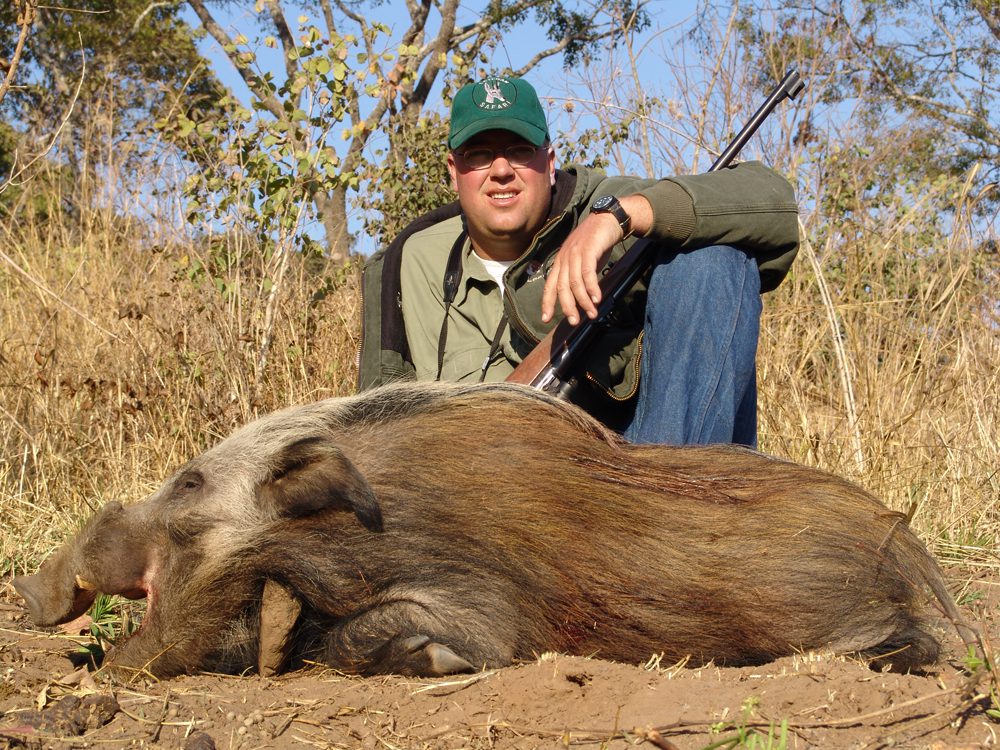 Bushpig