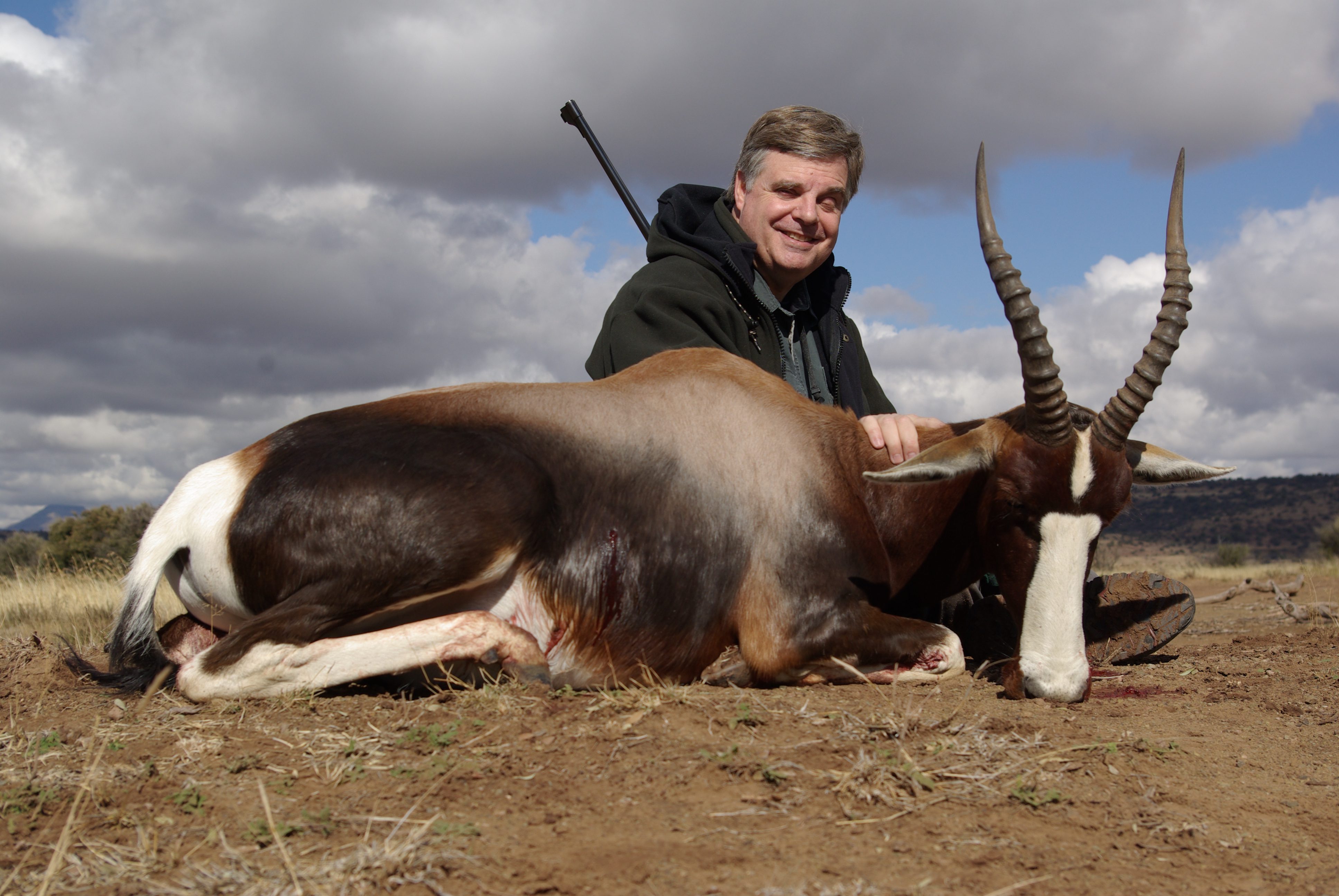 Bontebok