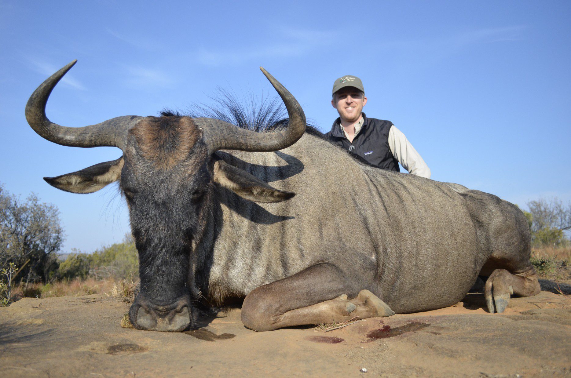 Lategan Safaris – Gallery