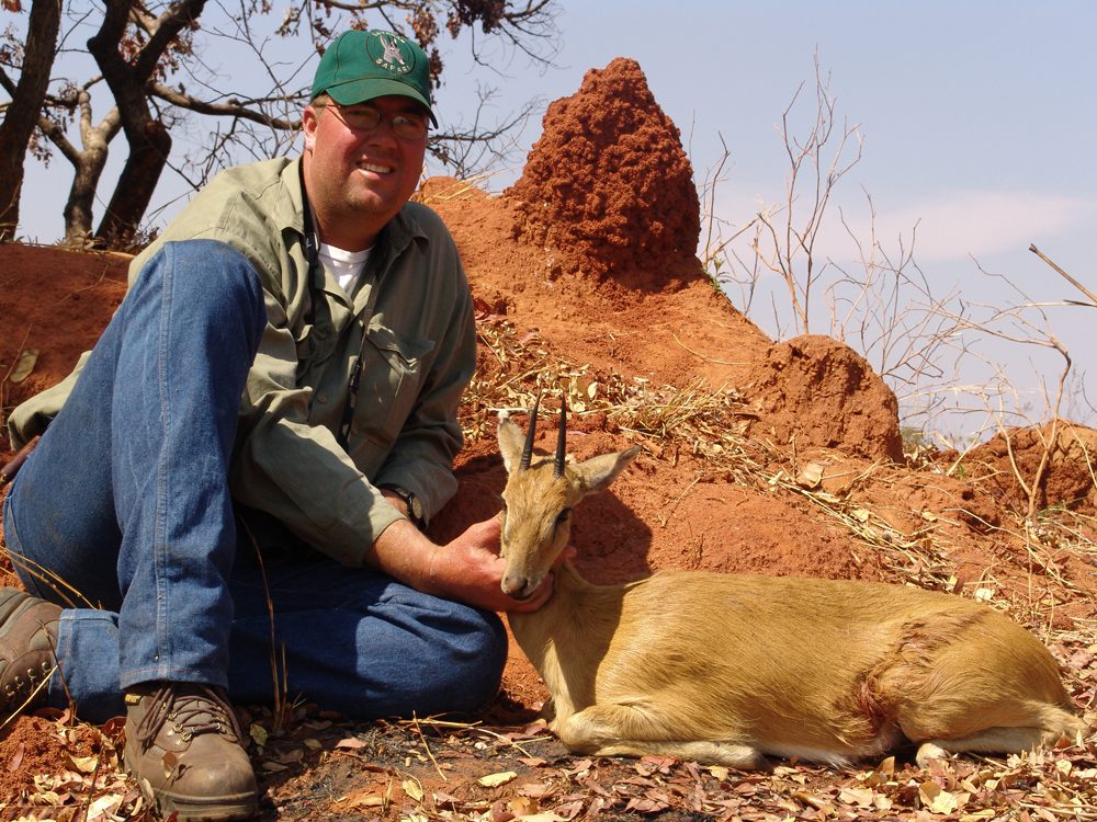 Oribi
