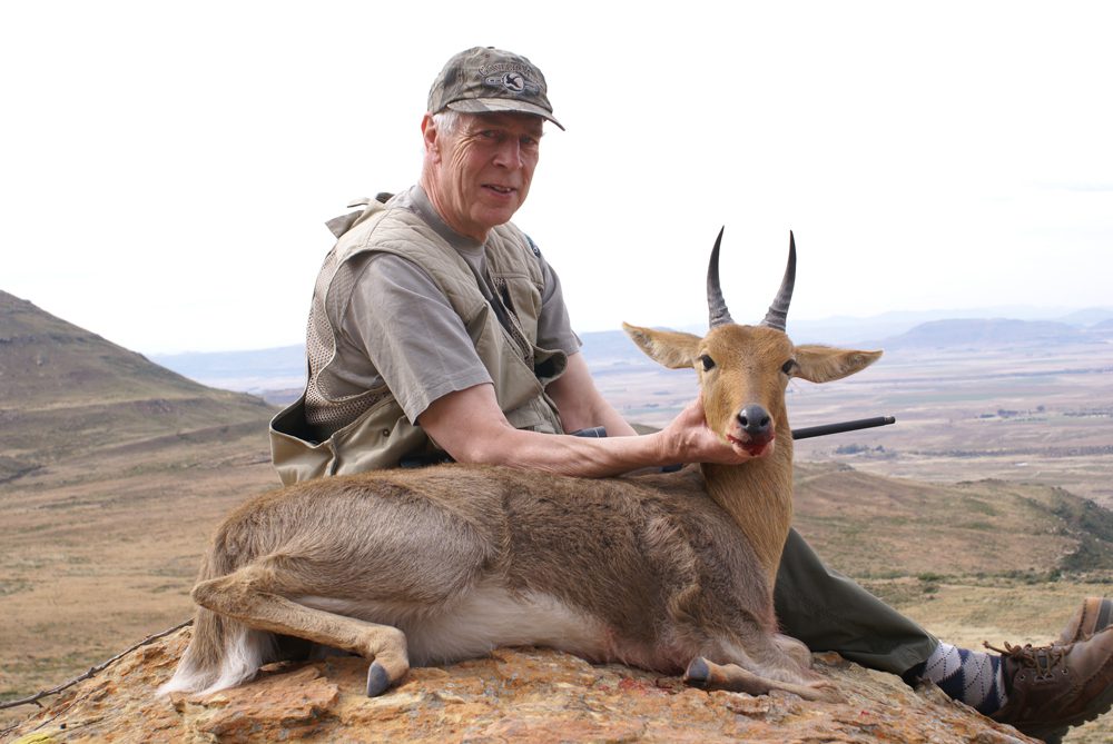 Mountain Reedbuck