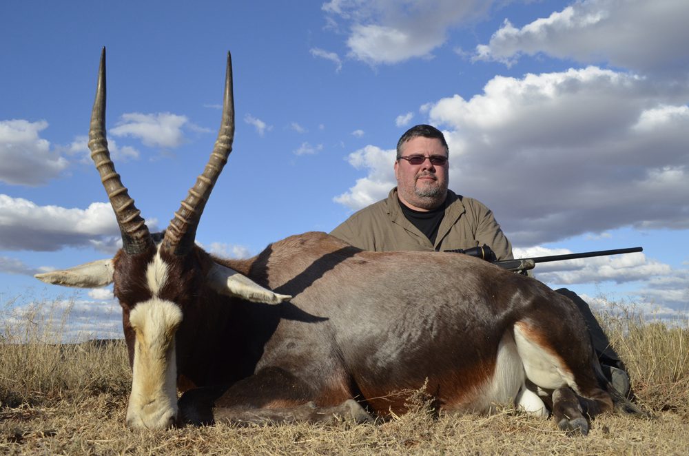 Blesbuck