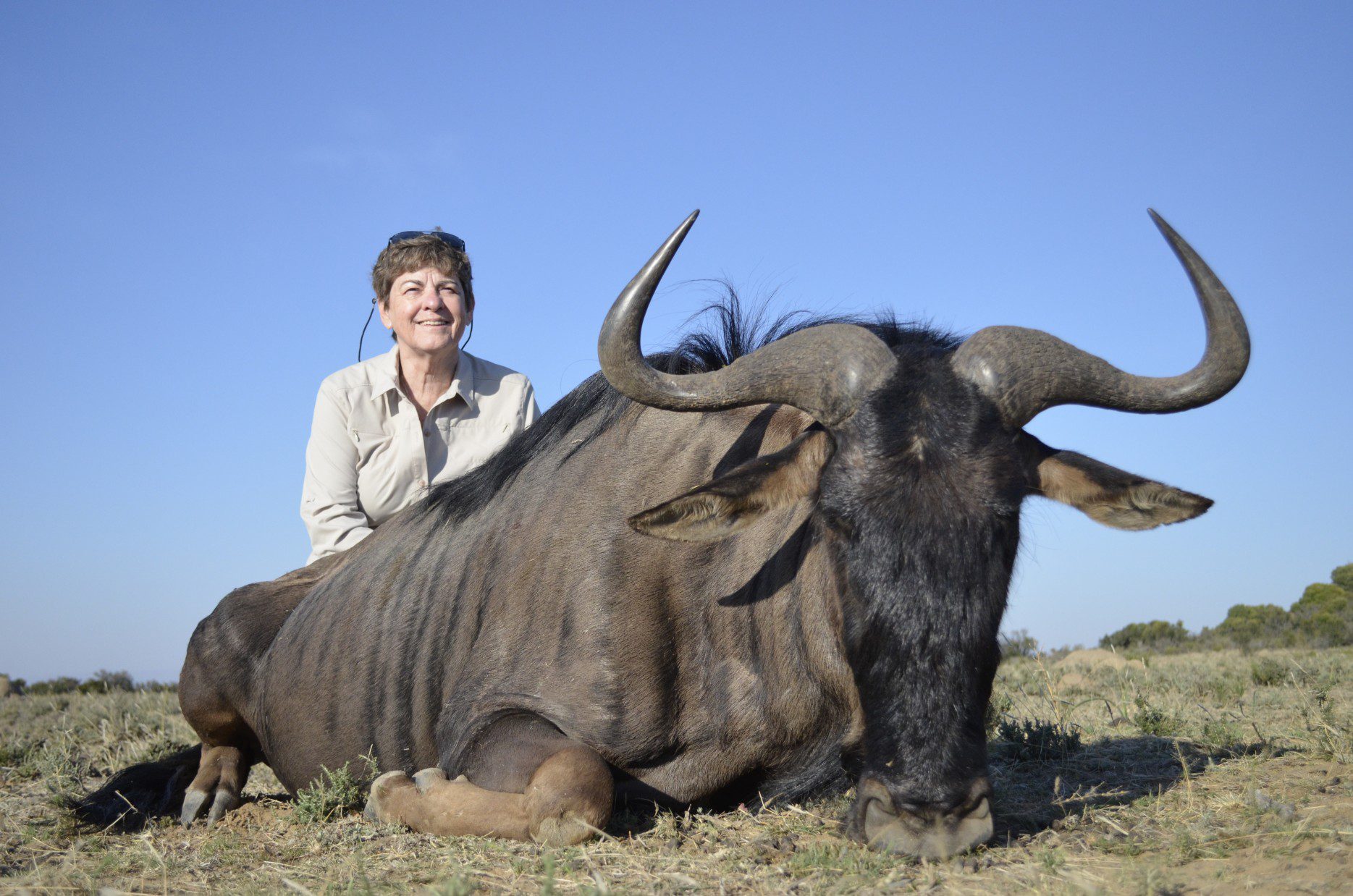 Lategan Safaris – Gallery