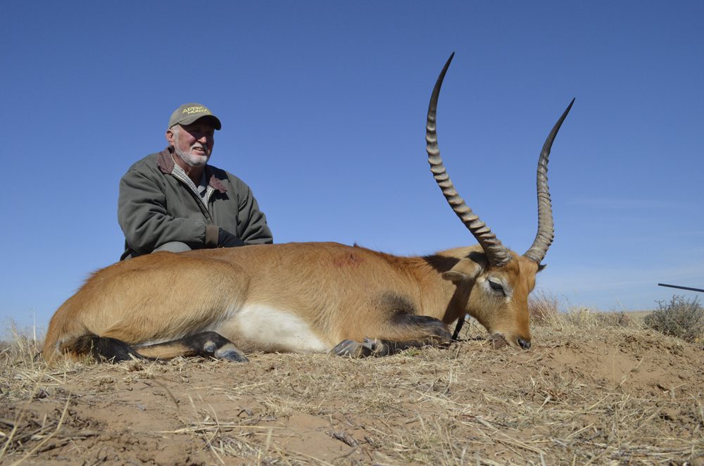 Lechwe