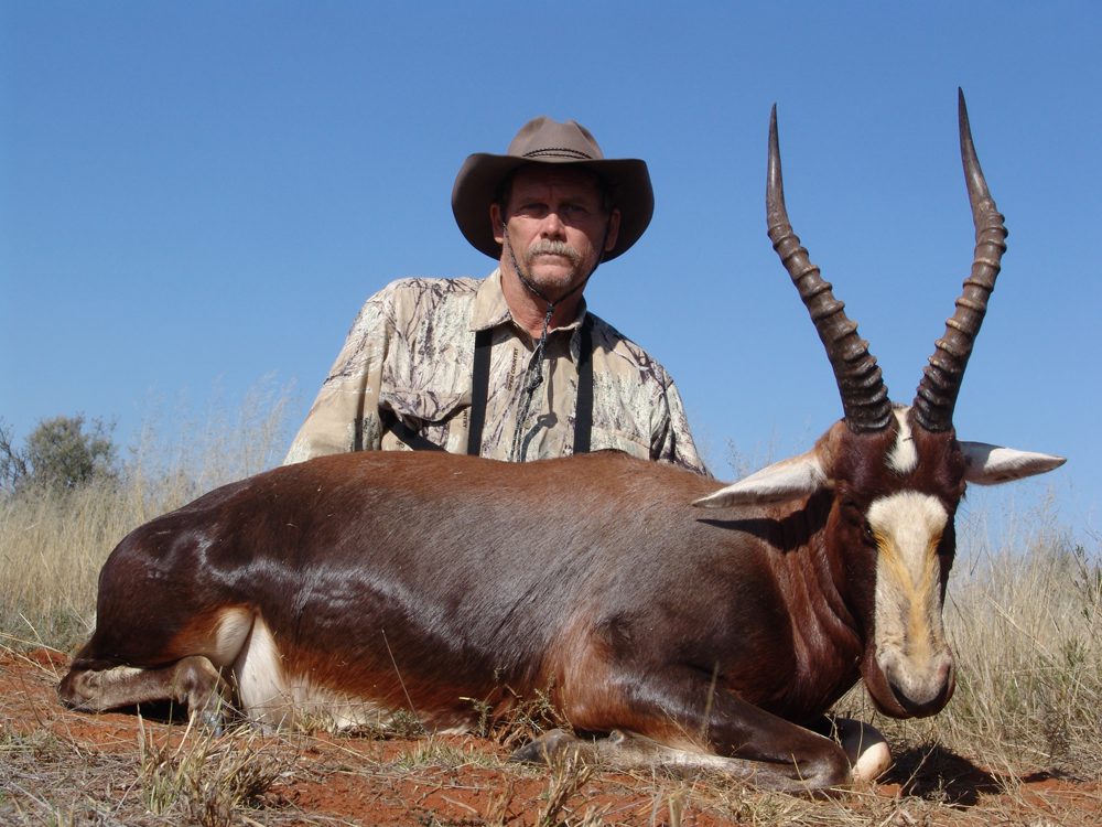 Blesbuck