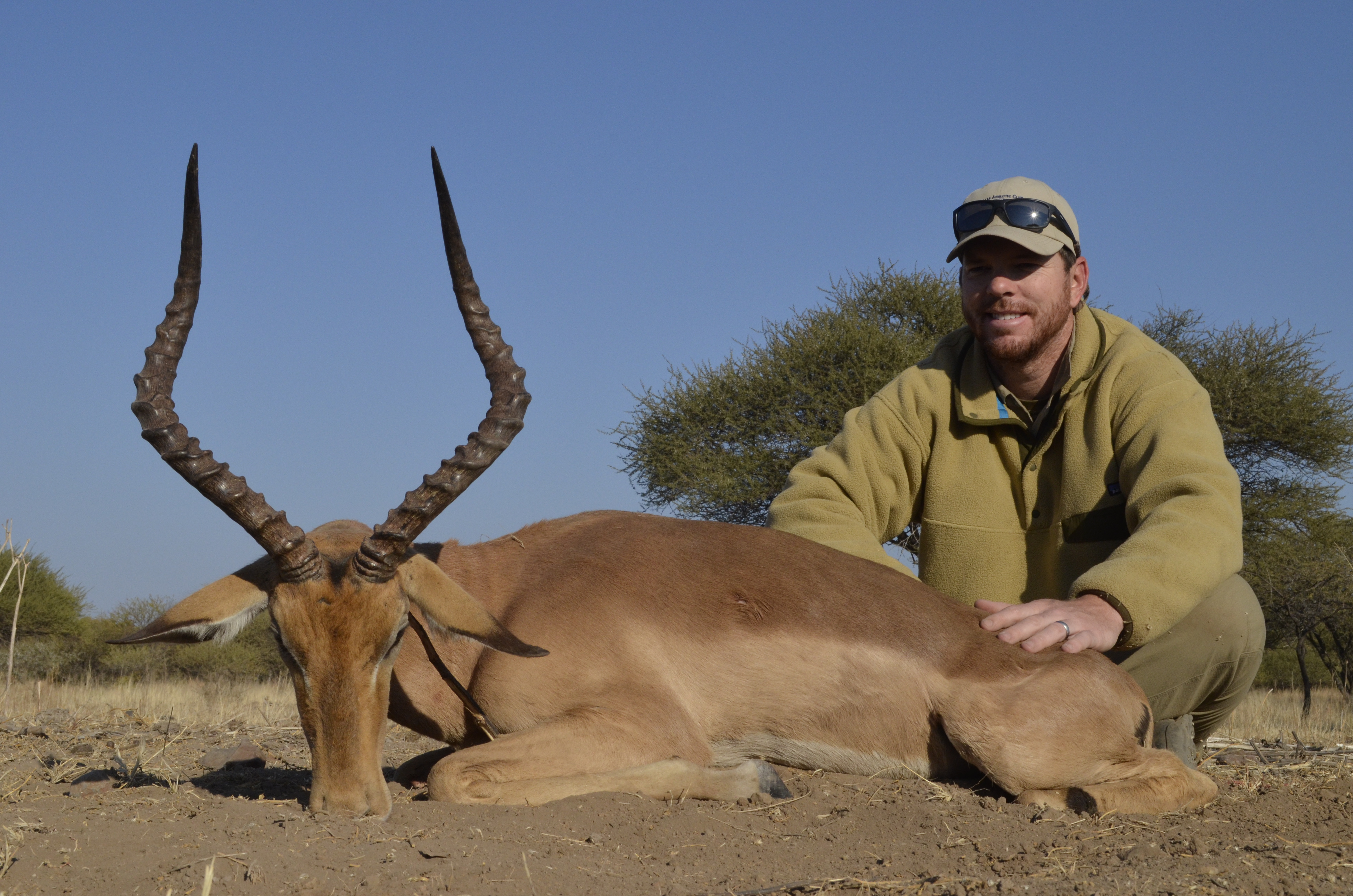 Impala