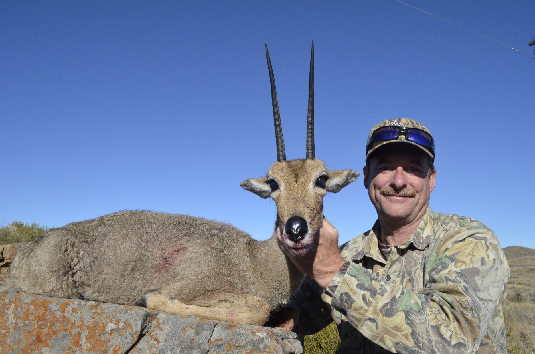 Lategan Safaris – Gallery
