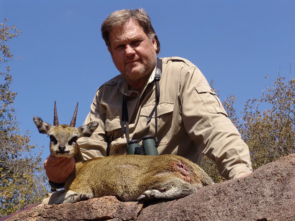 Klipspringer