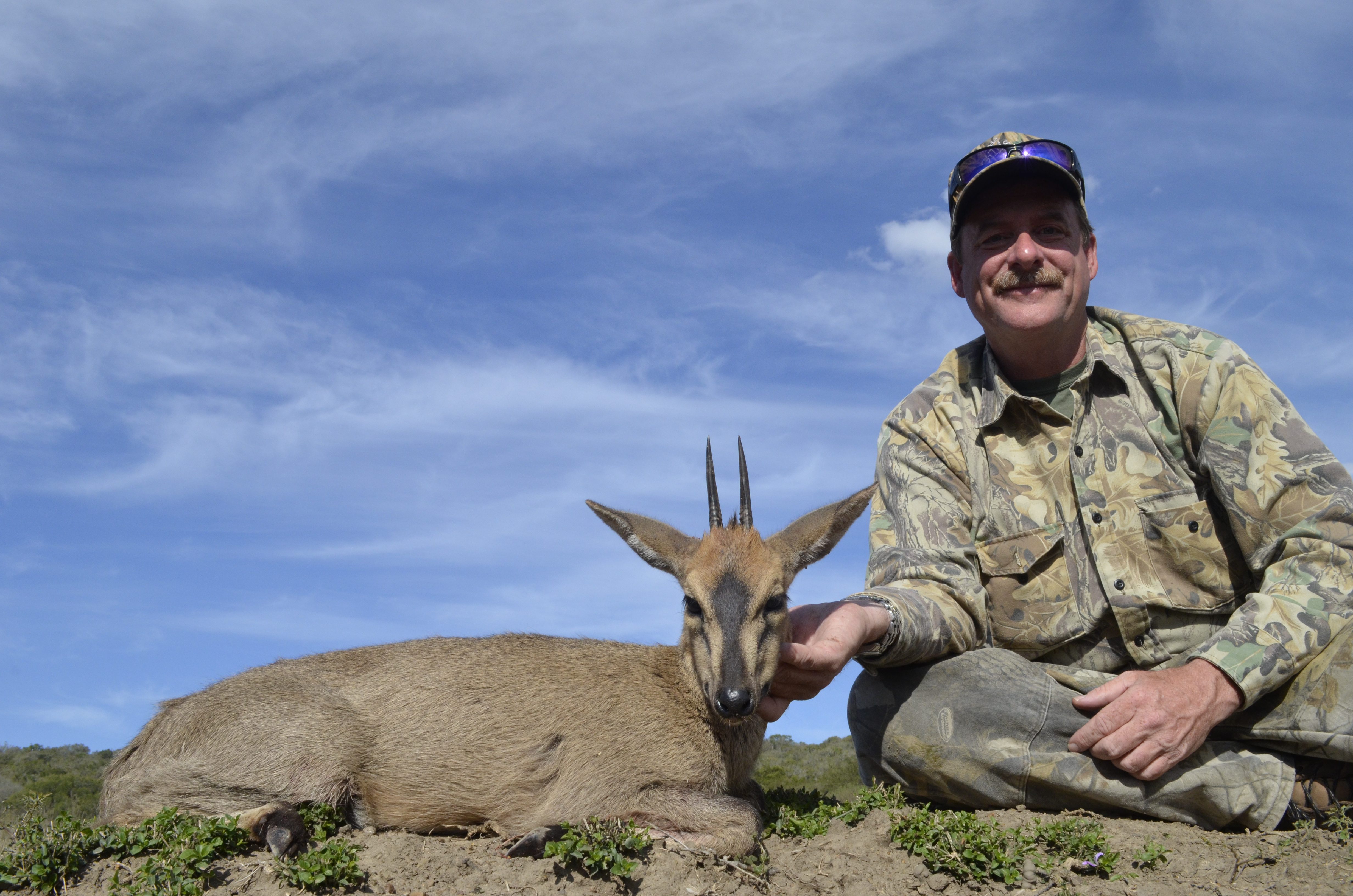 Duiker