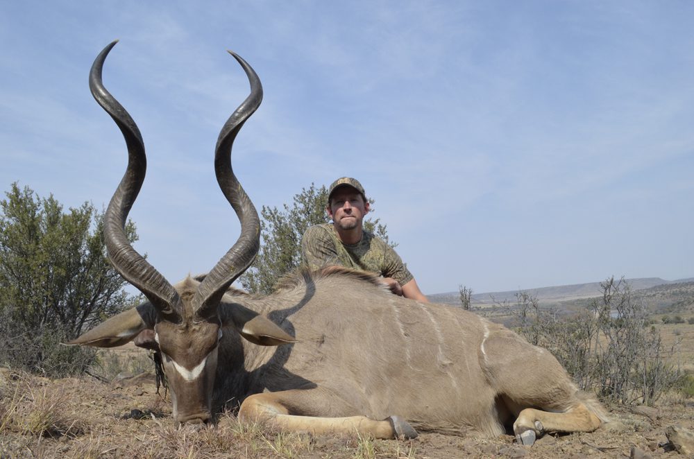 Kudu