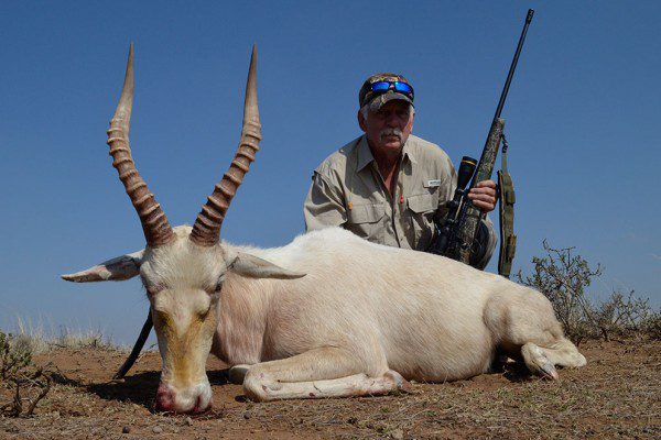 White Blesbuck