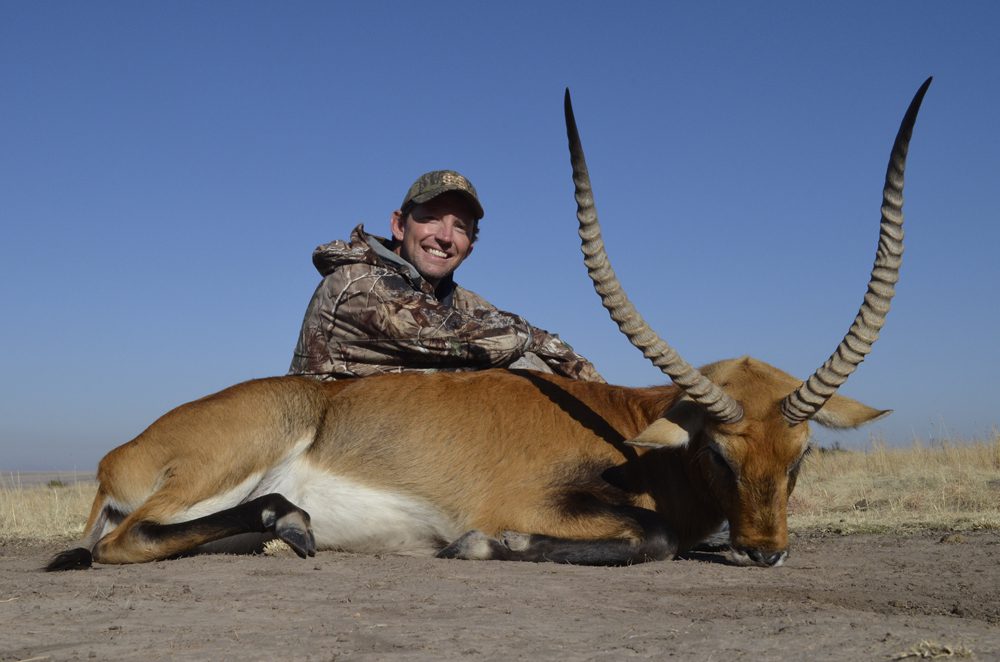 Mountain Reedbuck