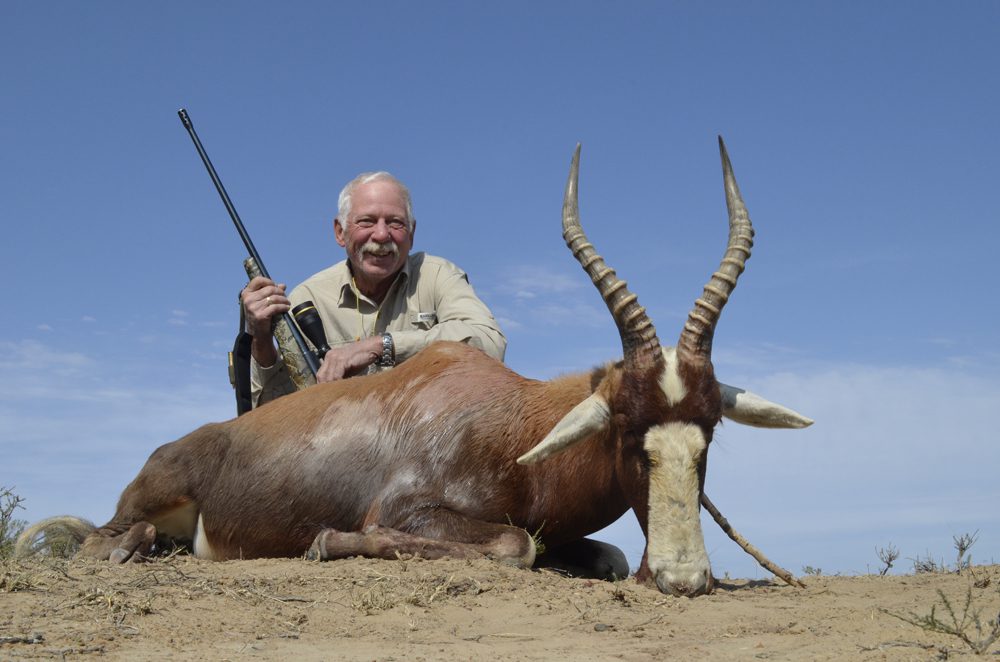 Blesbuck