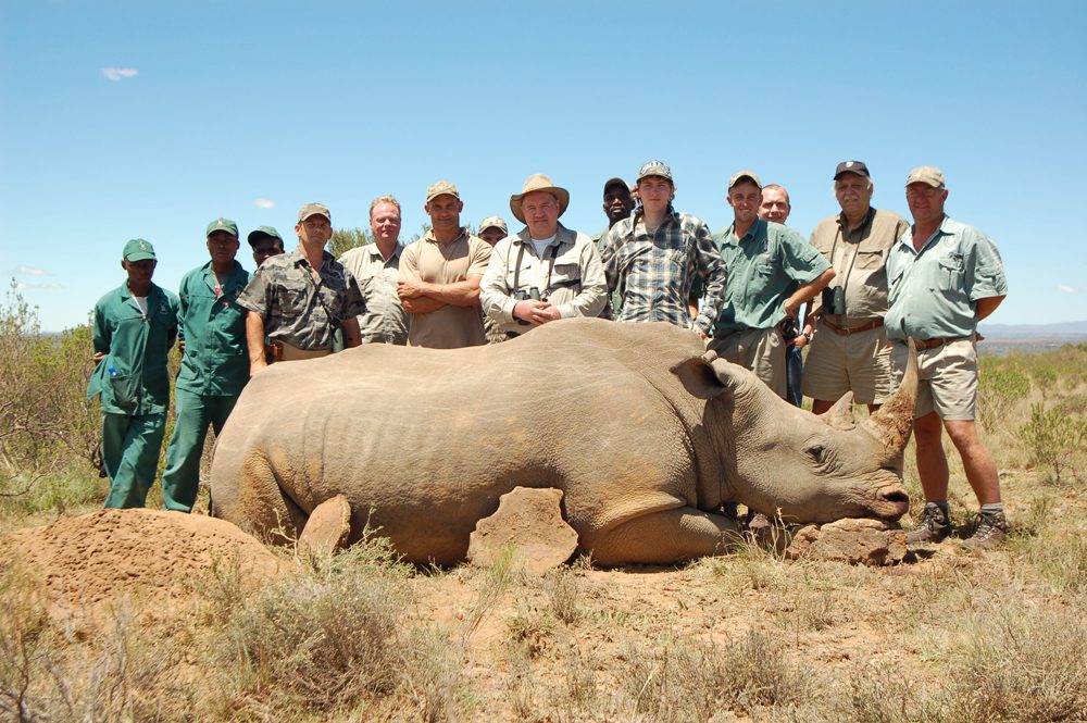 White Rhinocerus