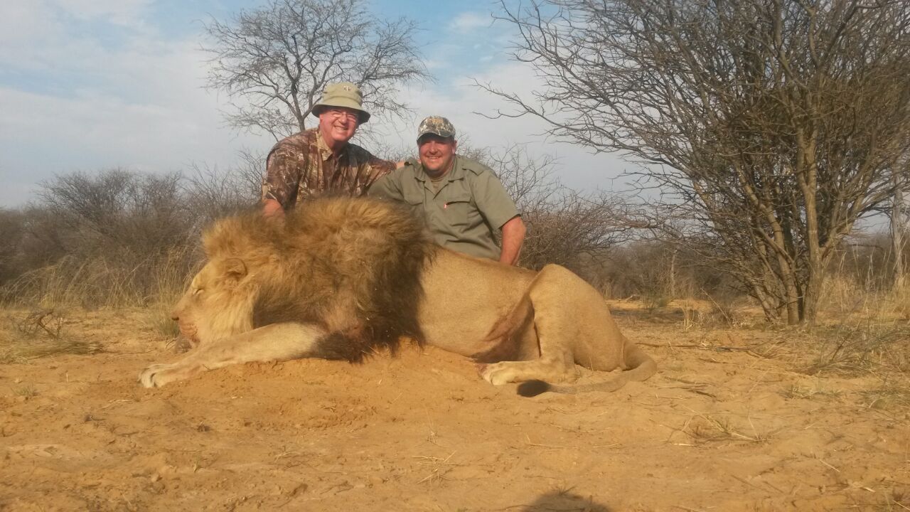 Lion