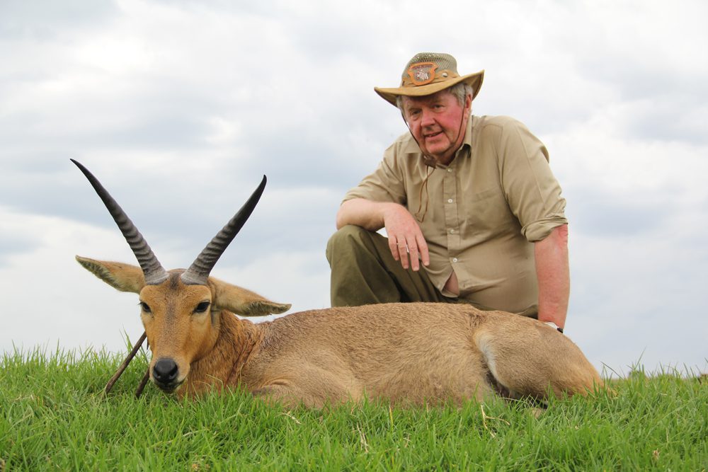 Reedbuck