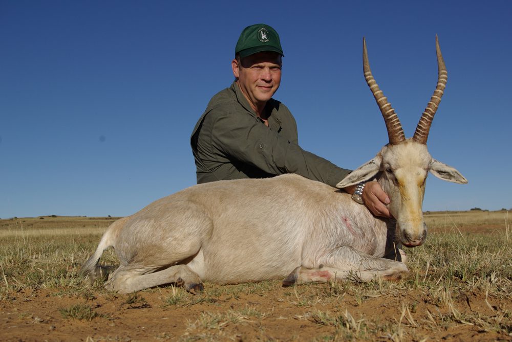 White Blesbuck