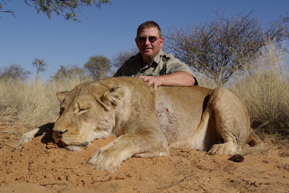 Lion