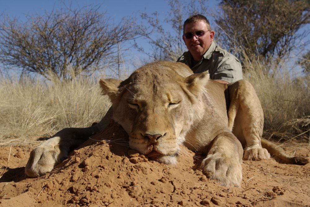 Lion