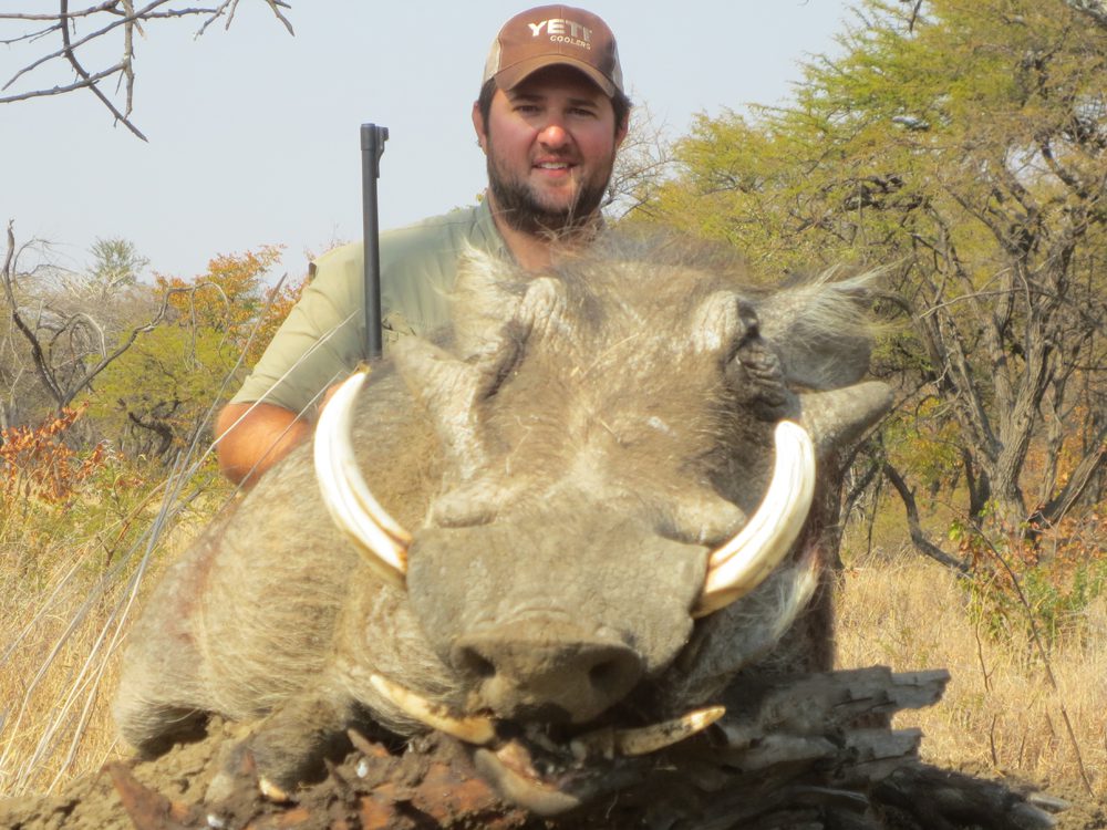 Warthog