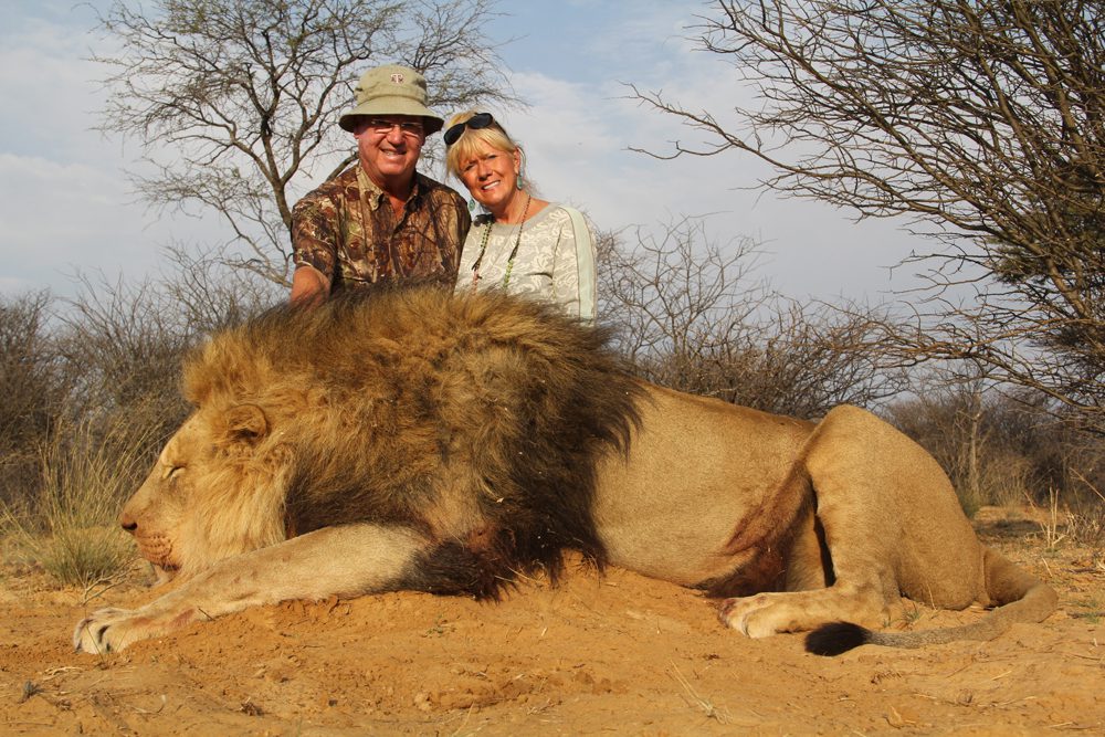 Lion