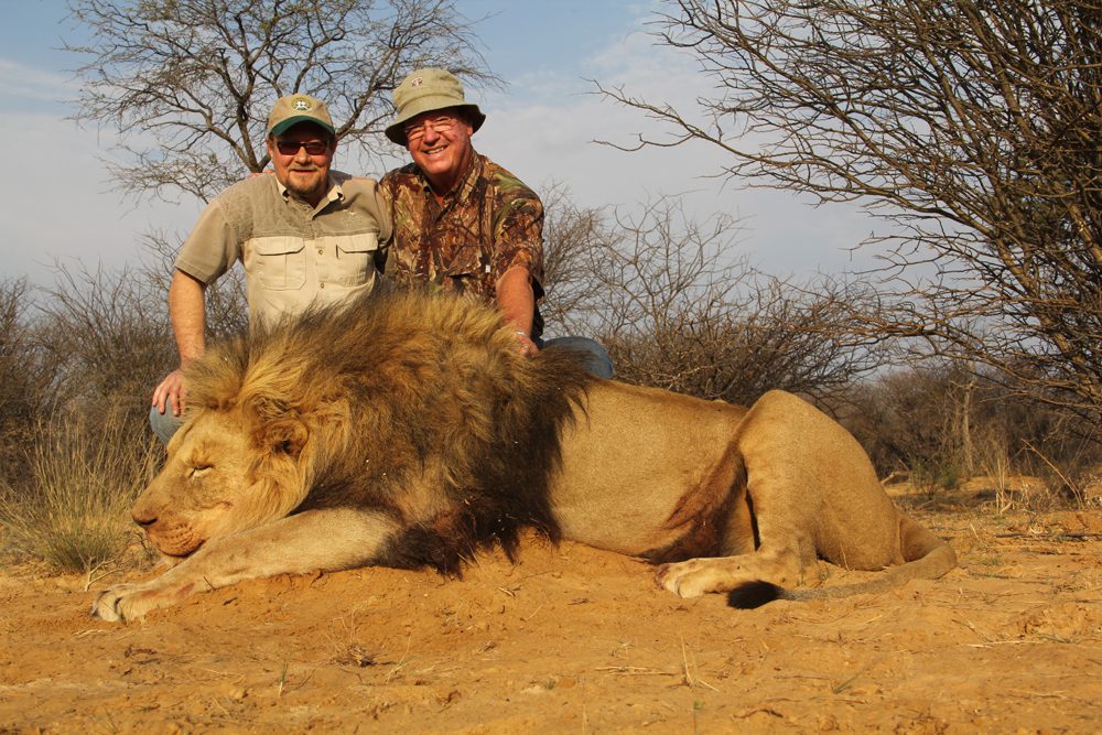 Lion