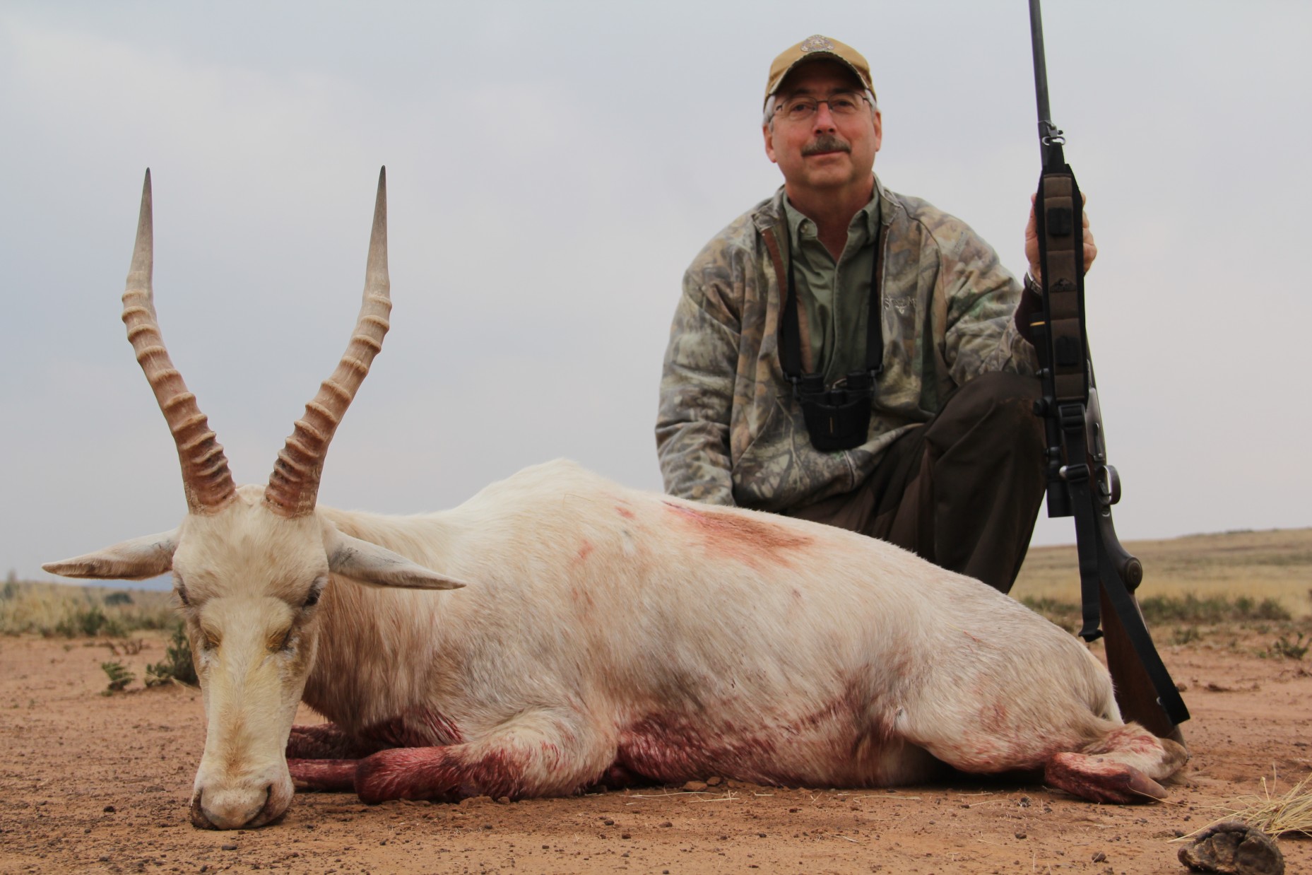 Lategan Safaris – Gallery