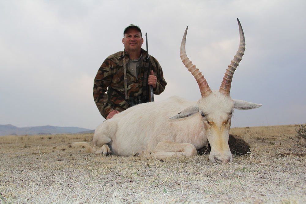 White Blesbuck