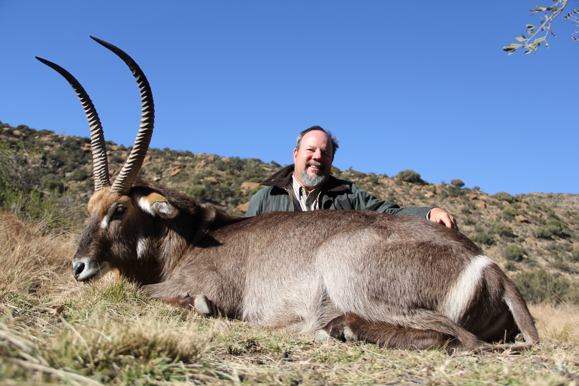 Lategan Safaris – Gallery