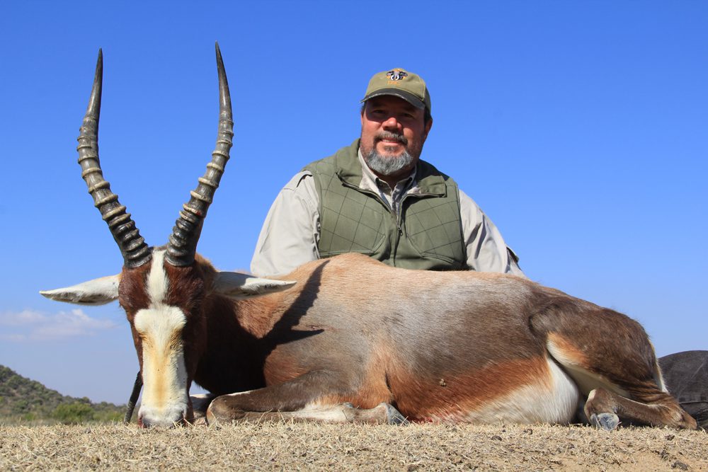 Bontebok