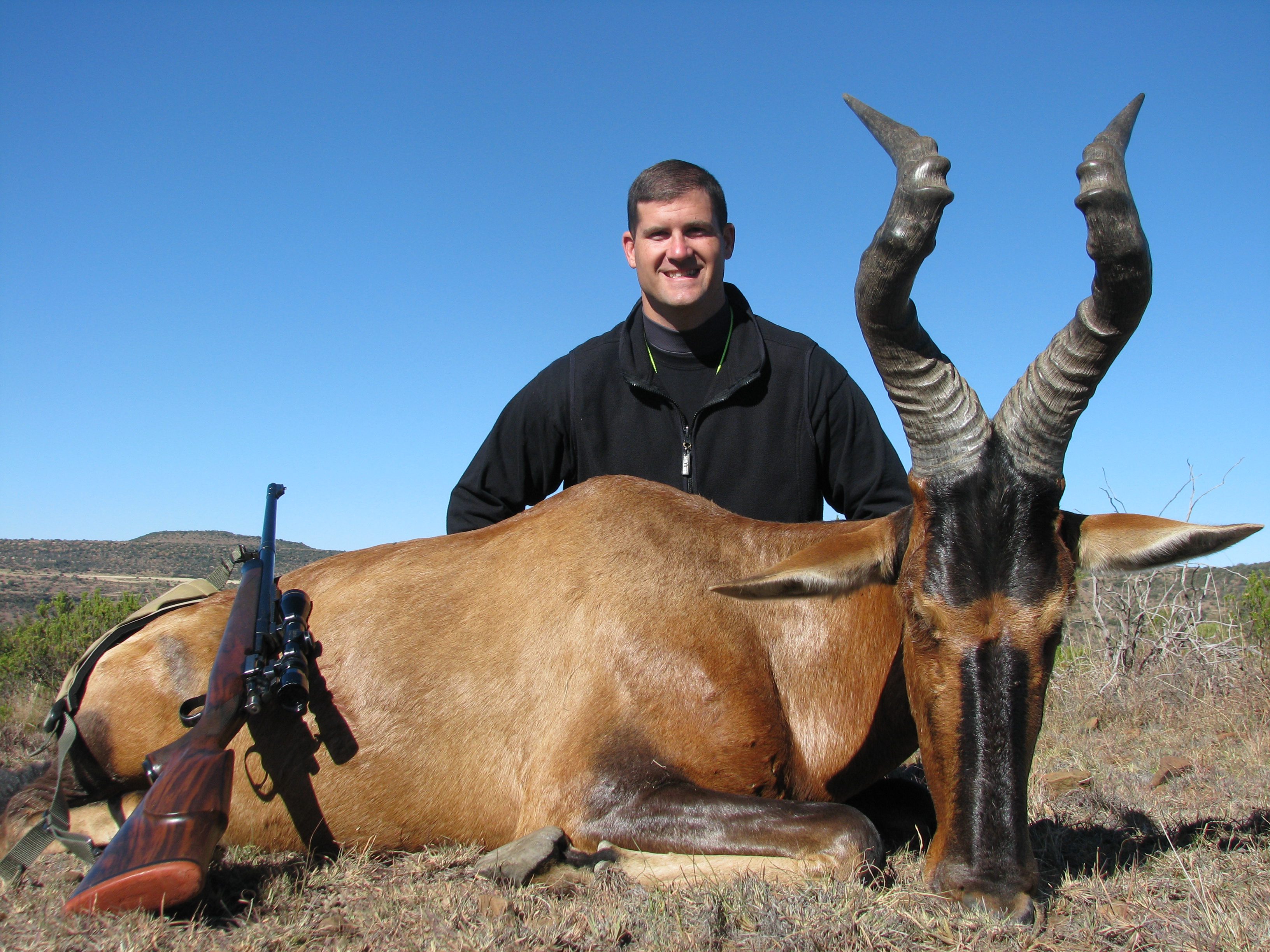 Hartebeest