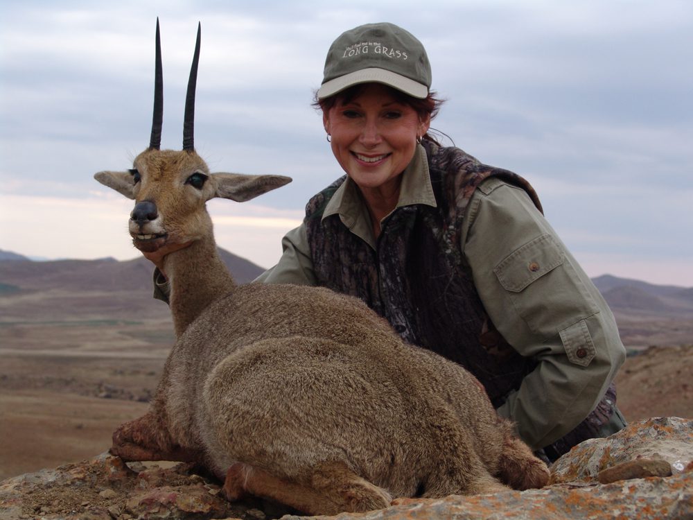 Grey Rheebuck