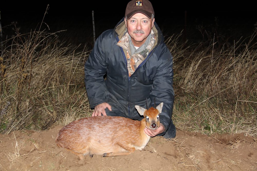 Grysbuck