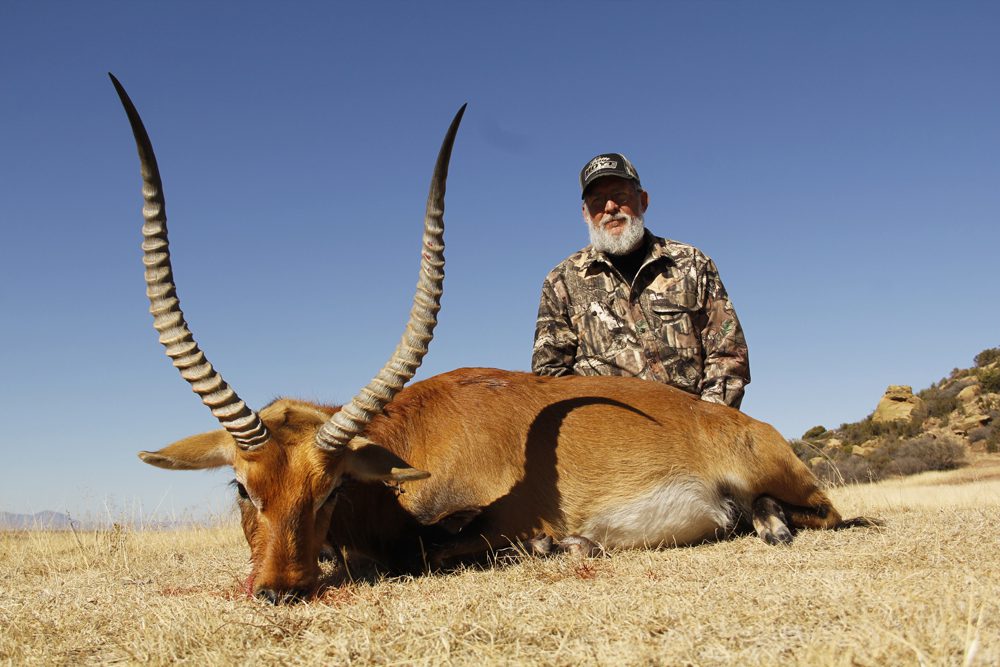 Mountain Reedbuck
