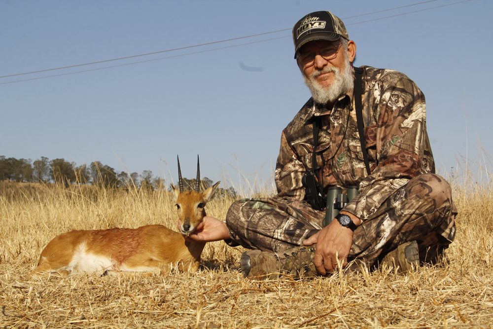 Oribi